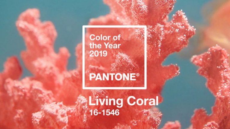 Pantone3 Lede