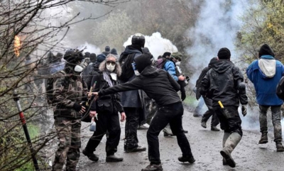 Pylli “i pushtuar” francez, policia nis spastrimin
