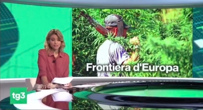 RAI3 “shuplakë” tjetër Ramës: Nxirr shifrat e drogës, ne i kemi tonat