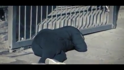 Berisha/Drama e jetes te te semurit me covid19 dhe genjeshtrat e Edvin Hajdutit!