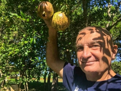 “Lajm i mirë është se…”, mesazhi me kode i presidentit Meta