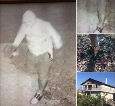 Berisha: "Akt terrorist ndaj veprimtarit të PD në Lezhë!"