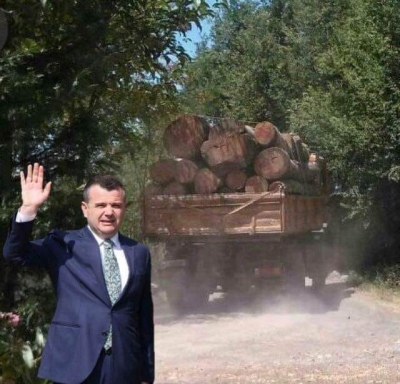 Berisha:Krim i rëndë mjedisor.Bandat e Taulant Ballën zhveshin Malin e Polisit.
