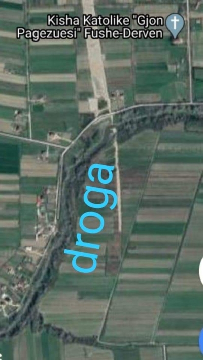 Berisha:Policia nuk ndërhyn, bandat e plantacioneve të hashashit nuk lejojnë fermerin të punojë tokën e tij!