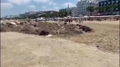 Berisha:Ky eshte turizmi i plehut dhe llumit qe ofron narkoqeveria e Edvin Mafise!