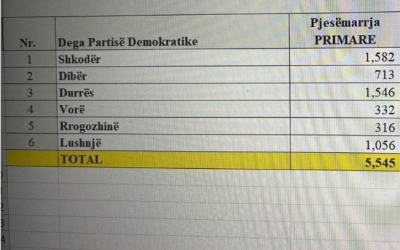 Primaret e PD/ Del numri i pjesëmarrësve, ja sa demokratë votuan dje