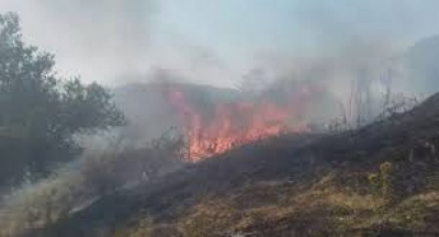 Zjarr masiv në Fier/ Flakët përfshijnë kodrat me ullinj