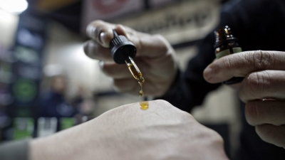 ‘Legalizimi i kanabisit’/ Eksperti holandez: Djalli fshihet te ky detaj