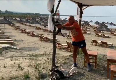 Kodi i Metës/ Kush është macja guximtare që ngjitet pa kthim...