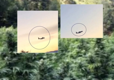 Berisha:Narkoflota sjell fidanet dhe merr drogen ne Kukes!