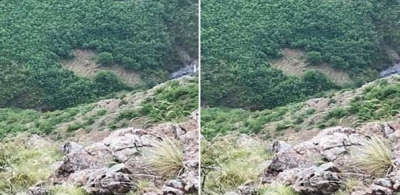 Berisha:Martaneshi i bleruar me krom dhe Hashash!