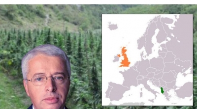 ‘Ka shtim të kanabisit’/ Surprizon Lleshaj: Edhe në Londër mbillet drogë