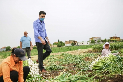 Me fermerët e Divjakës dhe Karbunarës/Basha:Ramavirusi po godet dhe rrënon fermerët e lënë krejtësisht pa mbështetje.