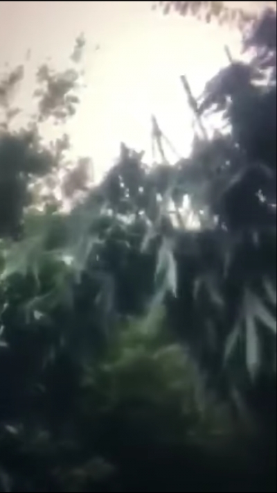 Berisha:Hymi i Hashashit, i kushtohet Edvin Droges!