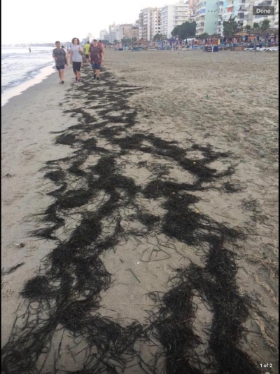 Berisha publikon fotot: Ky është turizmi që ofron narkoshteti i Edvin Mafisë'