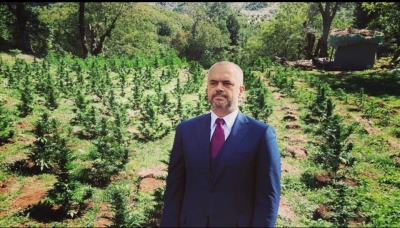 "Mënyrë e re e Edvin Mafisë dhe gjeneral Hashashit në 'luftë' kundër Kanabisit, ua shkulin fshatarëve dhe bimët i marrin për vete narkopolicët"