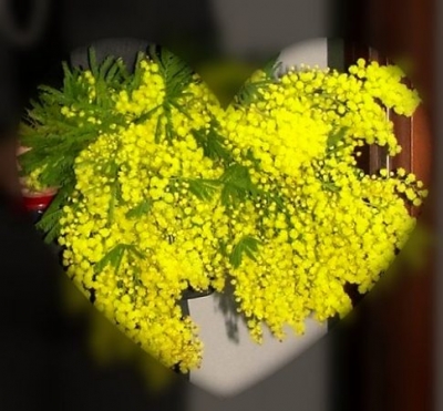 “Jepi zë zërit tënd”/ Si kaloi 8 marsi në Shqipëri, marshime-protestë në Tiranë, Durrës e Fier