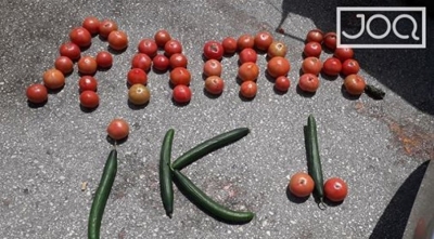 ‘Rama ik’ me domate e kastraveca, thirrja që po bën xhiron në rrjet pak para protestës