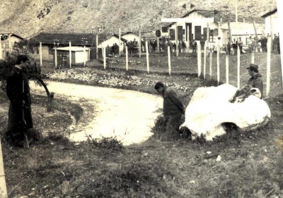 Foto lustruese. Arratisja nga një kamp pune në vitin 1984