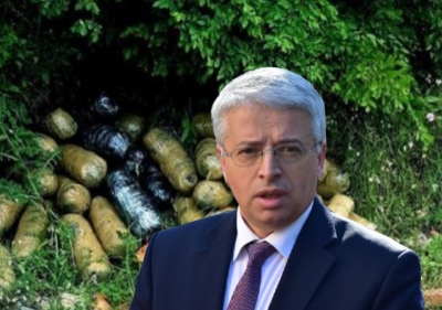 Lleshaj mburret me operacione ku kapen 120 kg kanabis, Evropa mbushet me hashashin shqiptar