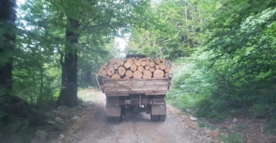 "Pyjet e Shkodrës drejt shkatërrimit të plotë nga mafia e narkoshtetit"