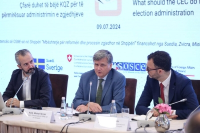 Ambasadori i OSBE: Zbatoni vendimin e Kushtetueses për votën e diasporës