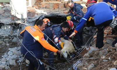 Tërmet në Turqi, 39 persona në spital