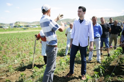 Basha me fermerët në Rrogozhinë: Luftojnë për mbijetesë, bujqësia në krizë të thellë, Rama s’mund të fshehë dështimin