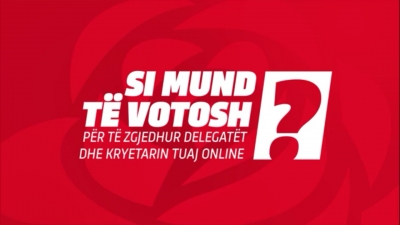 Risia e LSI, për herë të parë votim online për zgjedhjet brenda partisë