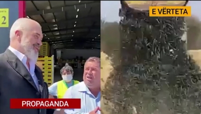 Fermerët hedhin produktet në rrugë/Rama: Kemi rilindur bujqësinë