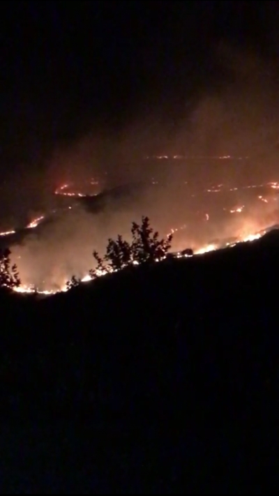 Berisha:Pyjet e Tepelenes ne flake.Narkoqeveria mbron vetem arat e hashashit!