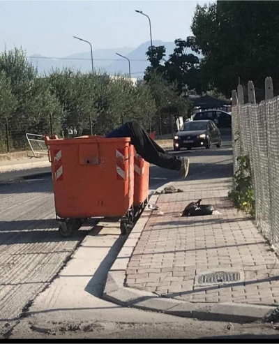 Berisha:Disa groposin kamiona narkoeuro sepse nuk ka banke qe ua mbane, te tjere rremojne me koke ne kazan te plehrave per kafshaten e gojes!