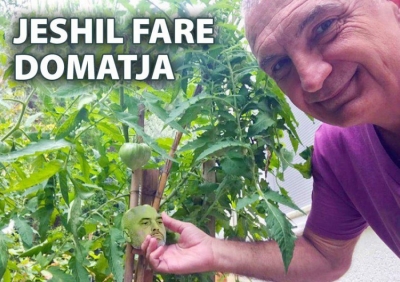 'Jeshil fare domatja', mesazhi i koduar i presidentit bën xhiron e rrjetit