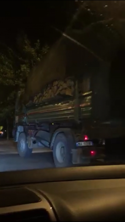 Berisha:Moratoriumi i narkoshtetit dhe shkaterrimi i parkut kombetar te Dajtit.