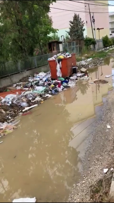 Berisha:Golemi, sinonim i plehut!