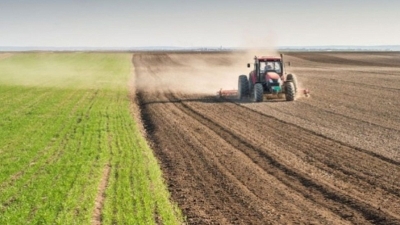 Punëtorët sezonalë’ në Greqi/Qeveria zgjat me 90 ditë lejet e qëndrimit