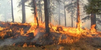 Zona pyjore në Mirditë përfshihet nga flakët