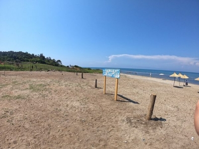 Tjetërsimi i 68 mijë metra katrorë tokë tek Gjiri i Lalzit, gjykata liron ish-kreun e Kadastrës