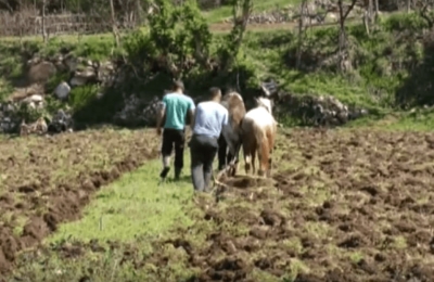 Edmond Panariti publikon foton dhe ironizon Ramën: Sapo filloi zbatimi i furnizimit të Bujqësisë me naftë pa taksa