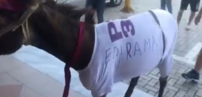 Ndodh dhe kjo: ‘Kaubojsi’ e thërret në ‘emër’, gomari përgjigjet