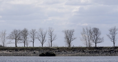“Ishulli i vdekjes”/ Erozioni zbulon gropën me 1 milionë kufoma