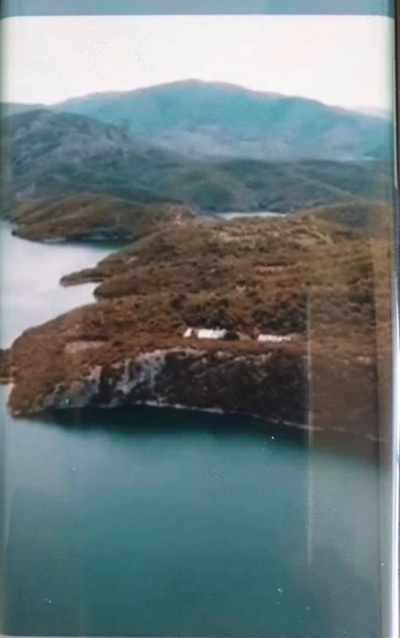 "Plantacione droge të Niko Brahimit, Gjeneral Hashashit në Vaun e Dejës!"