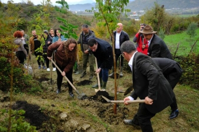 ‘1 milionë pemë’/ Veliaj pranon gënjeshtrën e fushatës dhe çel fushatën tjetër të mashtrimit: Qytetarët duan 800 – 900...mijë pemë