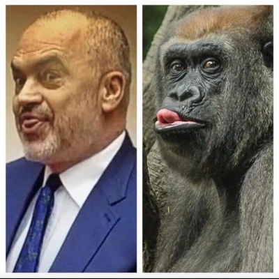 “Edvin Kristaq Urrejtësi urdhëron reprezalje hakmarrëse në Tropojë”