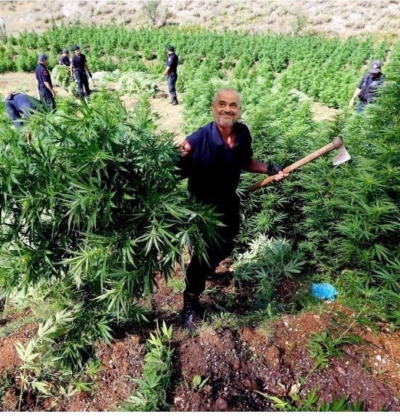 “Bomba’ e revistës më të madhe gjermane: Rama mbahet në pushtet nga mafia e drogës”