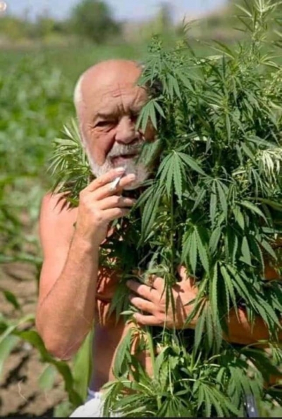 Berisha:Narkopolicia ua thane arat fshatareve!Ua merr ujin e vaditjes per te vaditur parcelat e veta te hashashit.