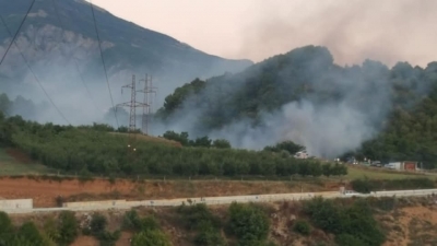 VIDEO/ ‘Helmimi i qytetarëve me tym kanceroz’, Gjunkshi: Mafia shtet po u merr frymën dibranëve