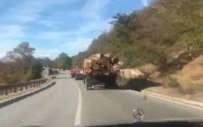 Denoncim/ “Taulant Yaris vazhdon moratoriumin e prerjes së pemëve” (video)