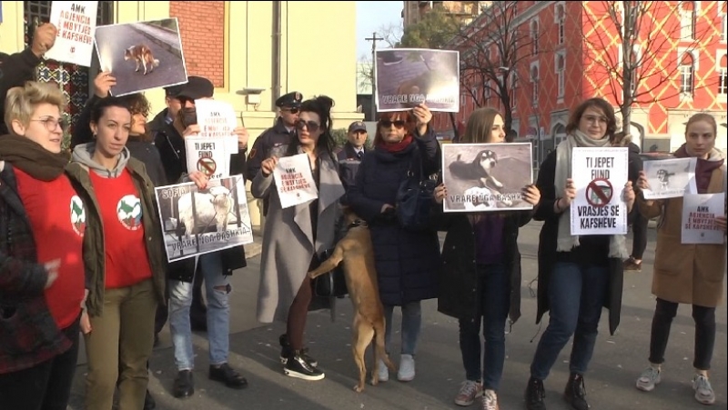 ‘Vrasës, vrasës’/ Aktivistët e të drejtave të kafshëve ngrenë zërin kundër Erion Veliaj