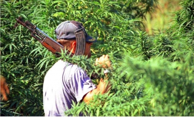 Berisha publikon lajmin: Shqipëria nën Edvin Drogën, delja e zezë e Evropës!